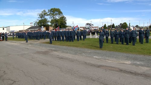 Members of the military stand in lines.