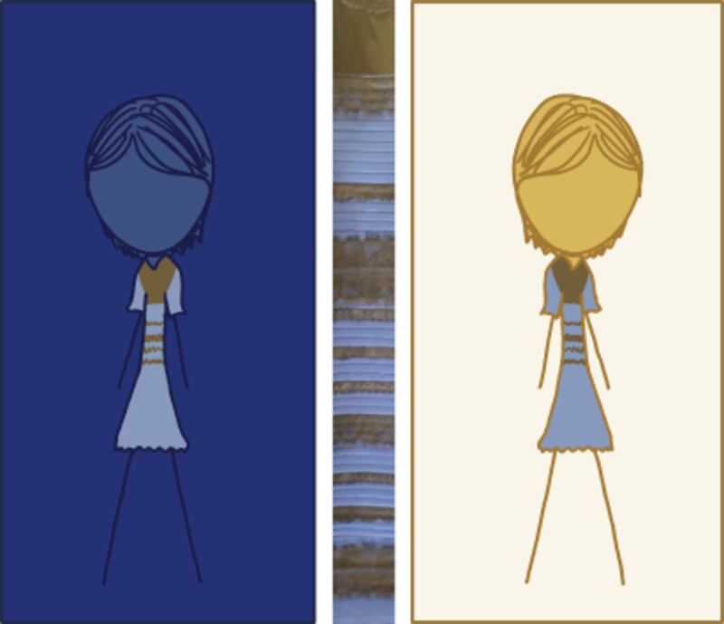 The science behind 'The Dress,' and why colour is not so black and white