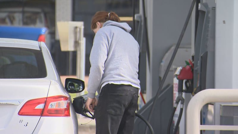 Here’s how the Alberta government’s $100 payment will work