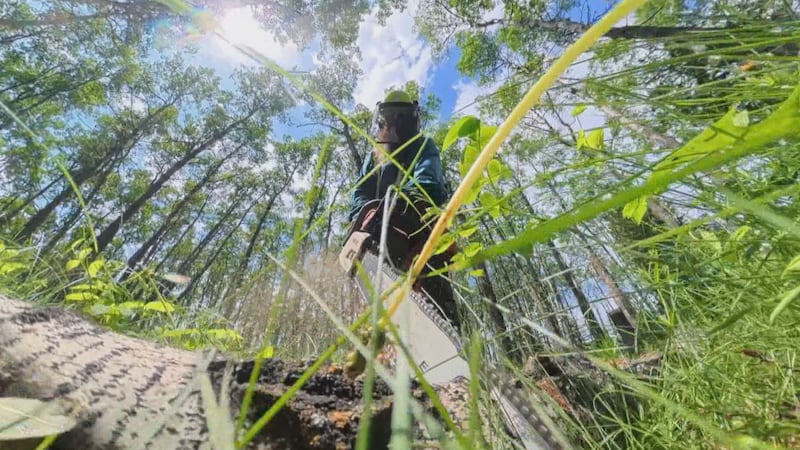 Venturers Society marks 40 years helping adults with developmental disabilities build careers outdoors