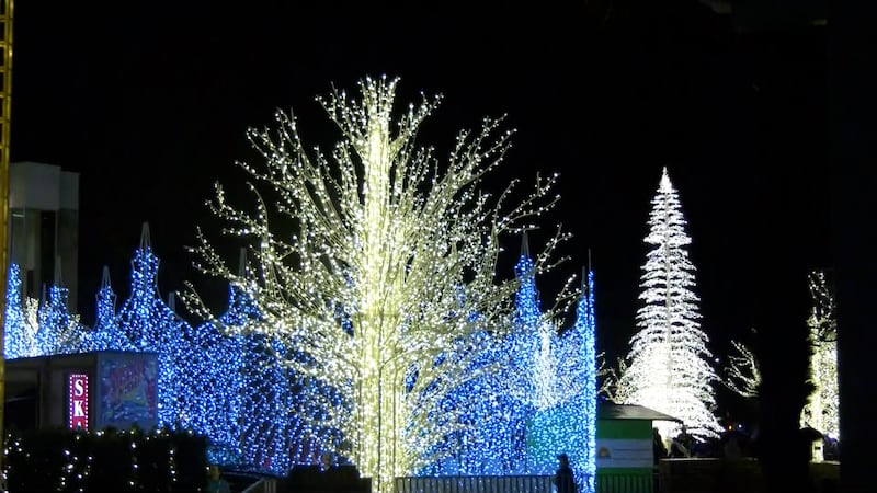 Lights of Wonder cancelled for 2026 as costs climb, future uncertain