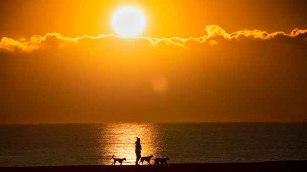 ‘Morning light is critical’: Shortest day of the year renews debate over daylight time
