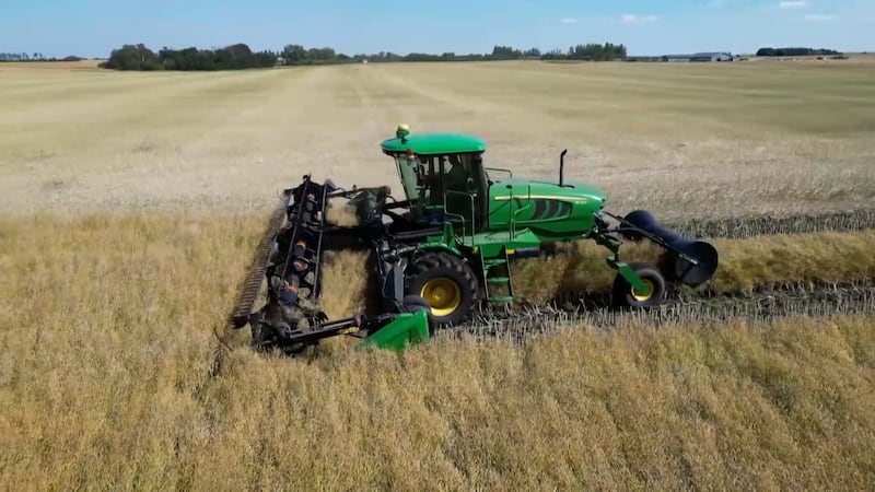 Harvest hurdle: Saskatchewan farmers brace for tariff impact