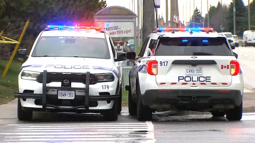 Pedestrian critically injured in hit-and-run in Brampton: police