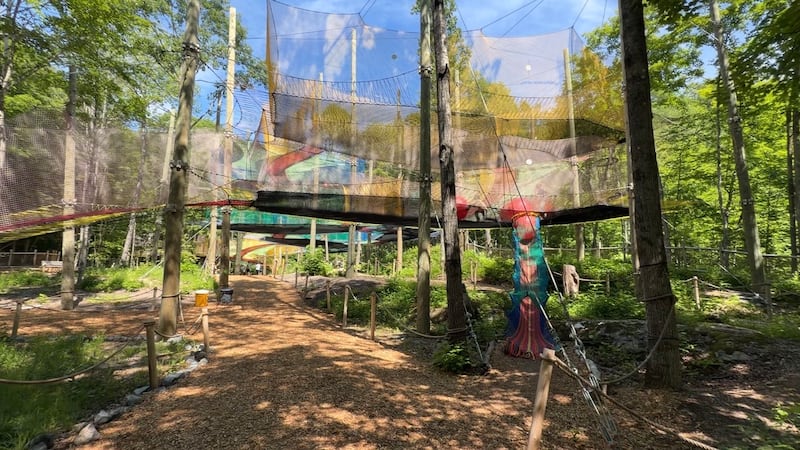 One Tank Trip: Upla trampoline park offers families a chance to bounce through the treetops