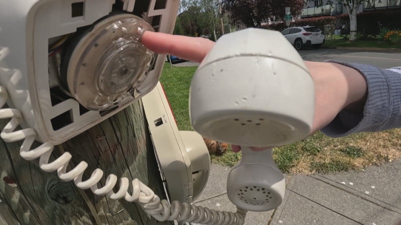 ‘This is happy time here:’ Randomly placed rotary phones in Victoria inspire people to practise calling people they love