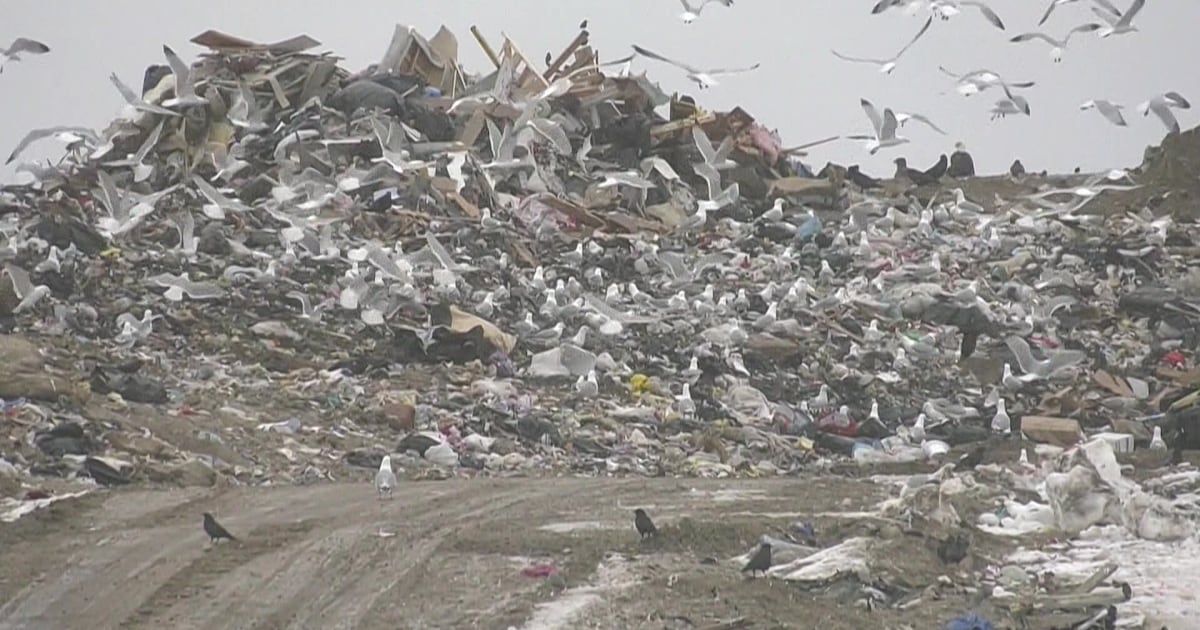 Sault Ste. Marie examines $95M plan as city landfill nears capacity