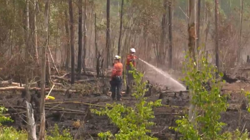 ‘Touchy time of year’: Weather conditions ripen Saskatchewan for wildfires