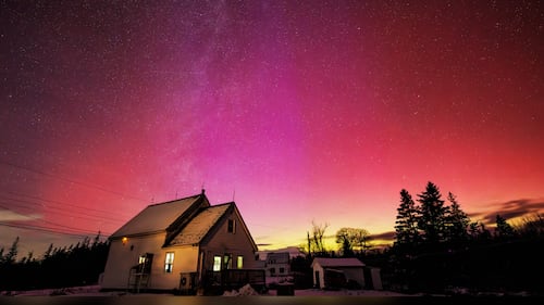 The Northern Lights are pictured in Tusket, N.S., on Jan. 19, 2026. (Courtesy: Tim Doucette)