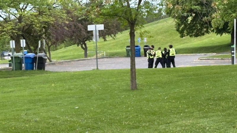 Two teens stabbed, one critically injured, in Mooney’s Bay altercation