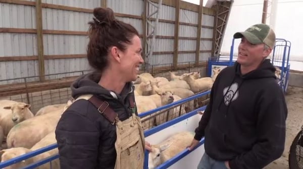 Farming on YouTube