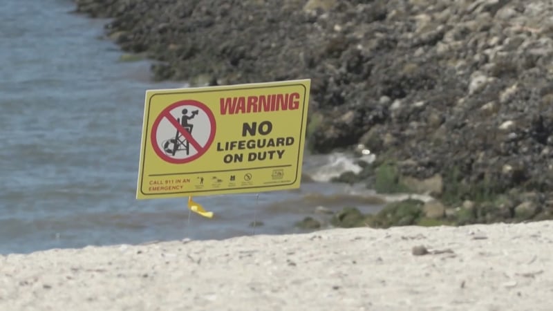Vancouver Park Board restores funding for lifeguards at 9 beaches this summer