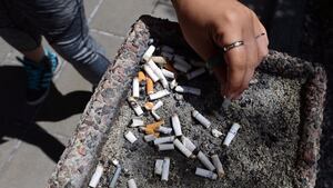 how to mix tobacco and weed Cannabis users who put tobacco in joints 'more likely to be addicted' |  Drugs