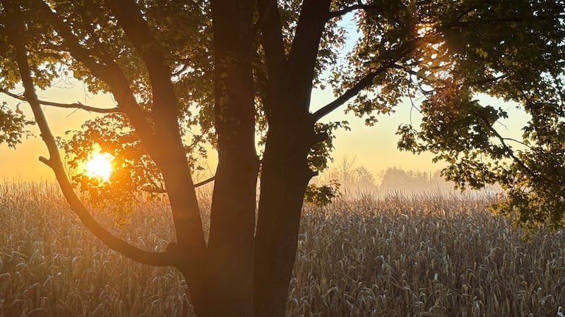 Above-seasonal warmth expected across London through Halloween week
