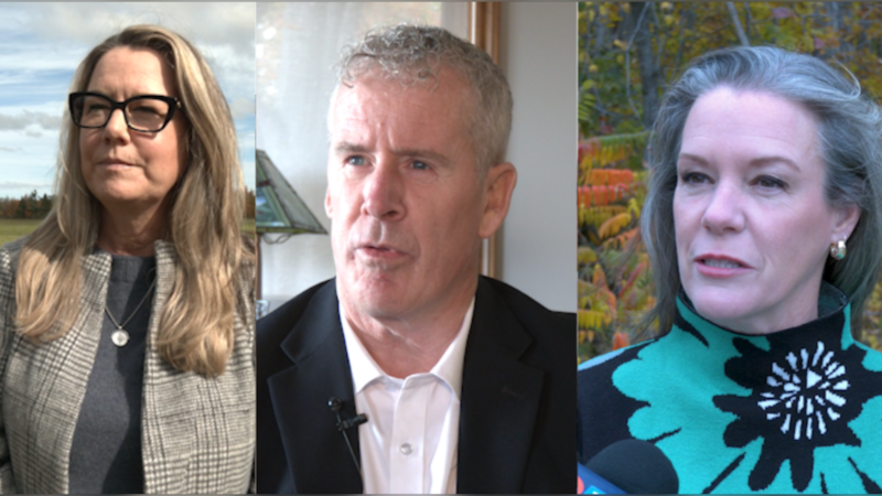 Looking to lead; mayoral race heats up in Oro Medonte