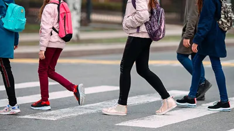 ICBC video highlights bad behaviour at busy intersections