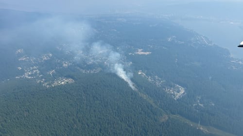 Wildfire in Metro Vancouver regional park being held, evacuation alert rescinded