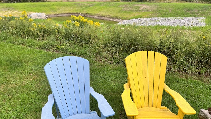 Off to a sunny start for the weekend in Central Ontario, here’s what will happen next