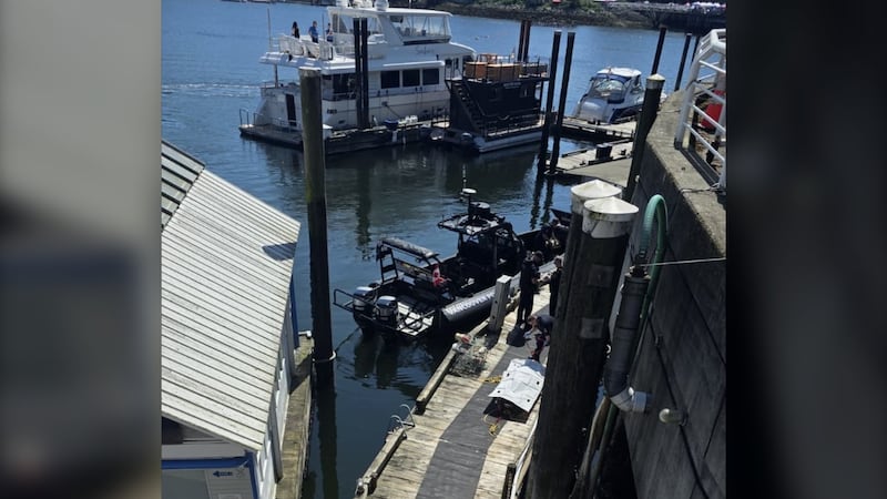 Body found in Vancouver’s False Creek