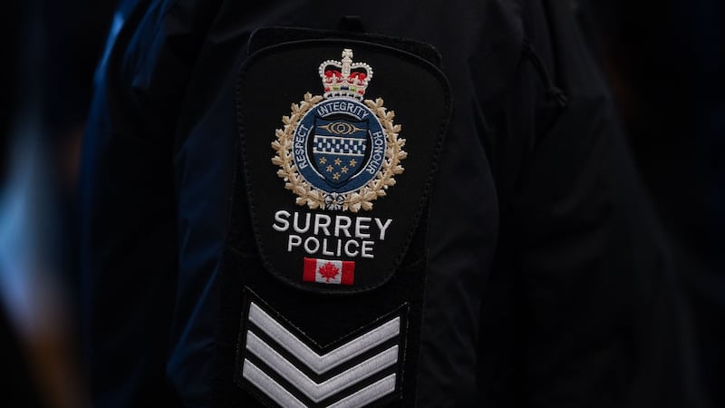 Child abduction charge laid after strange incident in Surrey driveway: police