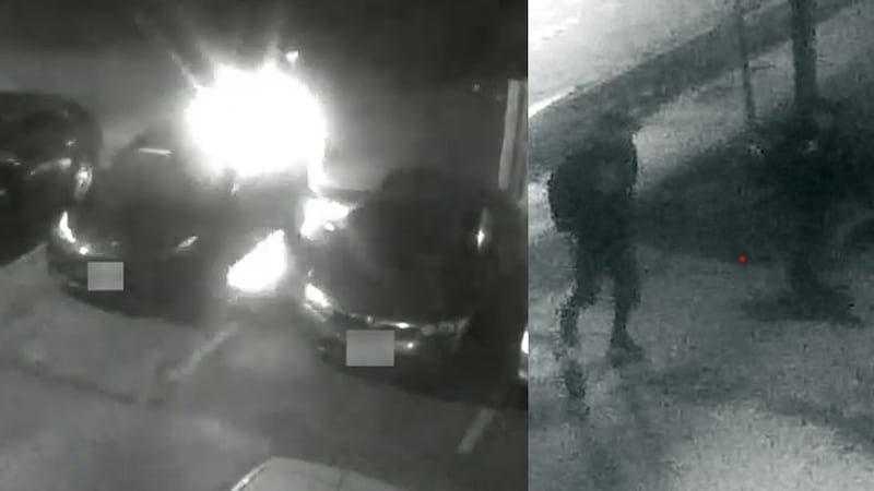 2 suspects caught on camera setting vehicle on fire in North York
