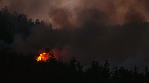 B.C. wildfire tally surges past 100 as lightning transforms fire season in a flash