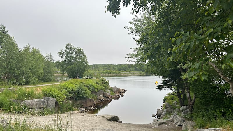 Halifax police find human remains near Old Sambro Road