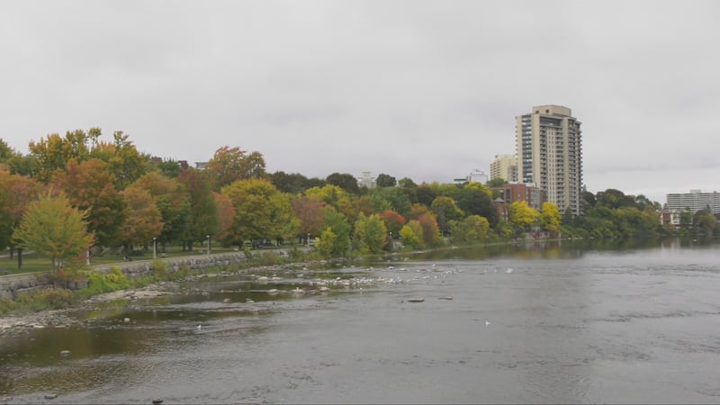 Ottawa could see 10-15 mm of rain tonight