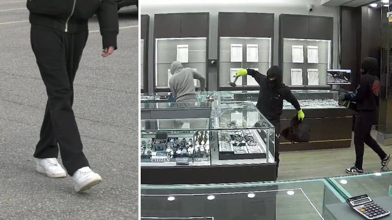 Getaway driver, 16, pleads guilty to robbery charges in Barrie jewelry store smash-and-grab