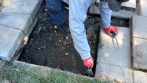 City committee approves motion loosening landscaping bylaw