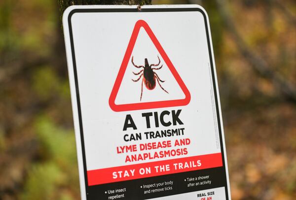 Nova Scotia warns residents of growing tick population as temperatures rise