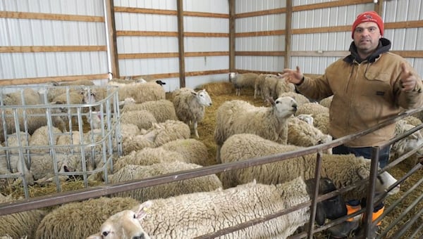 Regina Food Bank partnering with local farm to use food waste to feed animals