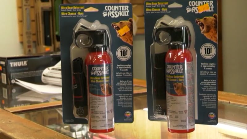 Calgary school in lockdown after bear spray assault