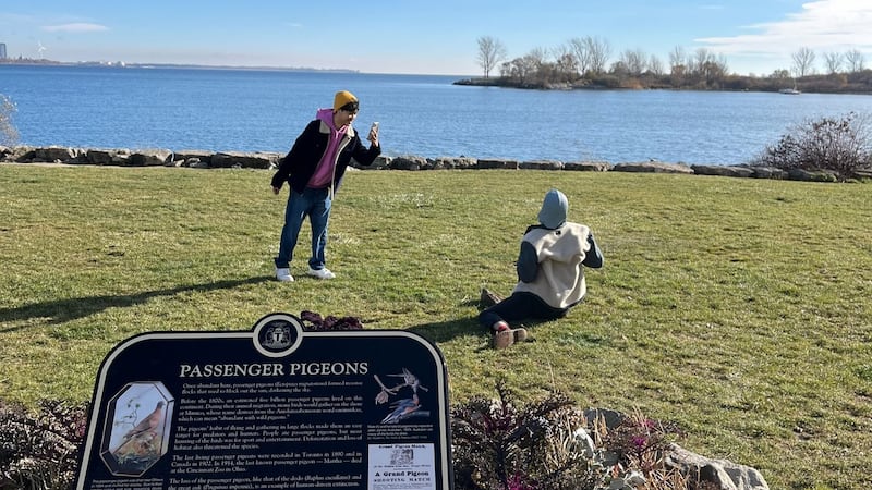 ‘We’re leaning into the joke’: Heritage Toronto’s Plaque Friday videos showcase city’s history with viral moments