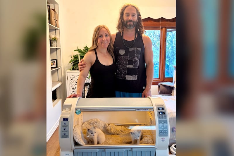 Saskatoon kittens rescued from apartment fire being aided by this donated incubator
