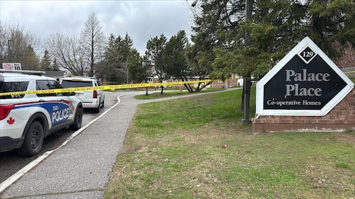 Young girl, age 6, dies after being hit by vehicle in Sudbury
