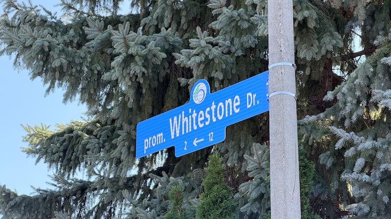 Trump Avenue sign in Ottawa disappears days after city council votes to rename street