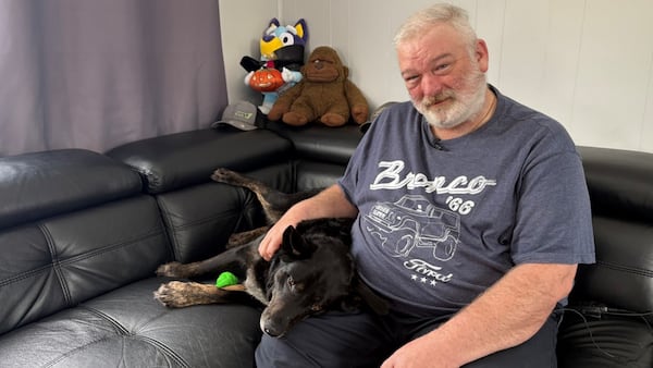 ‘He didn’t give up’: N.S. dog missing for six months following crash reunites with owner