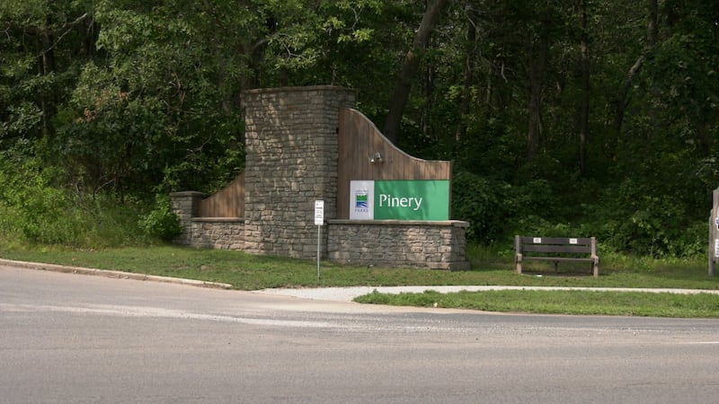 Body of missing swimmer recovered at Pinery Provincial Park
