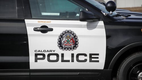 6-year-old child in stable condition after being struck by vehicle in northeast Calgary: CPS
