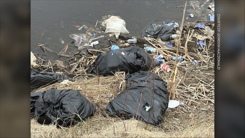 Bags of garbage dumped off bridge into water in Cape Breton