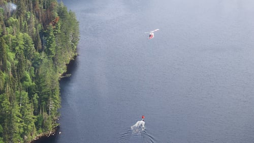 Chapleau 6 wildland fire Thursday is out in the northeast