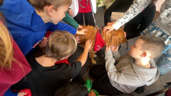 Therapy dog brings comfort to students at the Arnprior Public Library