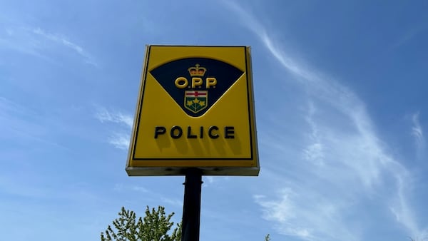 Leamington man charged following alleged cross county crime spree