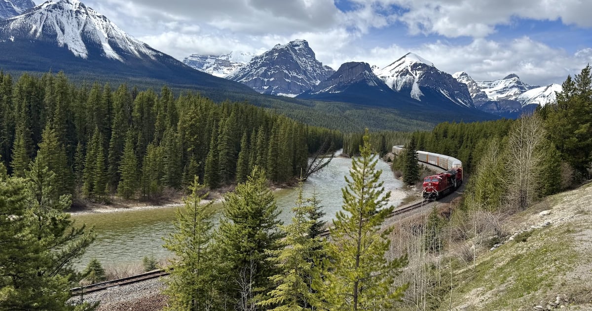 Sunny days ahead for Calgary's weekend