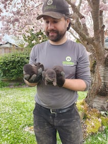 Baby river otter removal