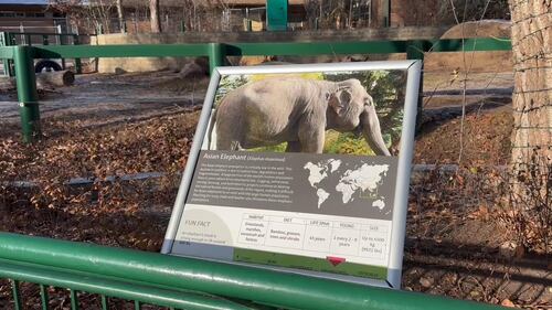 Sign of Asian Elephant information at the Edmonton Valley Zoo Nov. 24, 2025. (Sasha Pietramala/CTV News Edmonton)