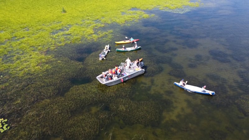 Why drones are being deployed over Lake Simcoe