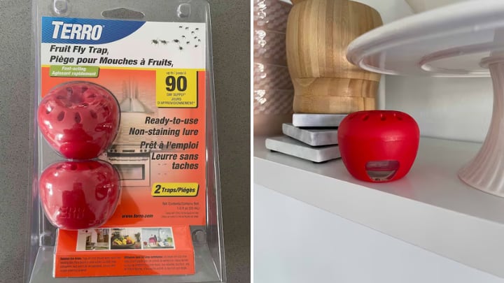 Split image of red apple-shaped fruit fly traps
