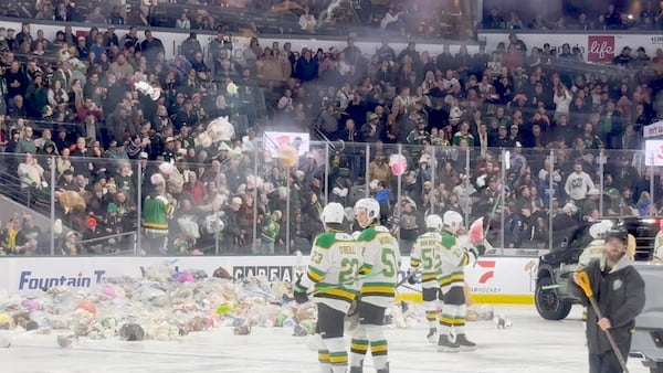 Wild second period sees teddy bears fly, Knights lose